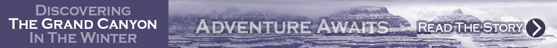 adventure awaits module