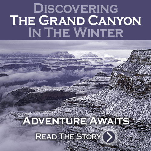 adventure awaits module
