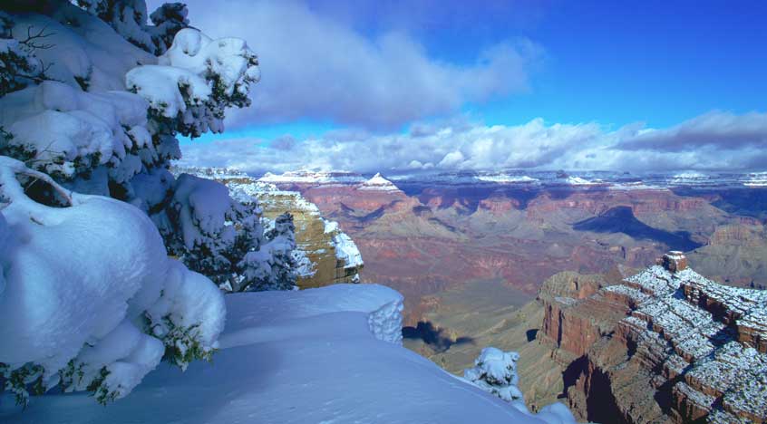 gc winter