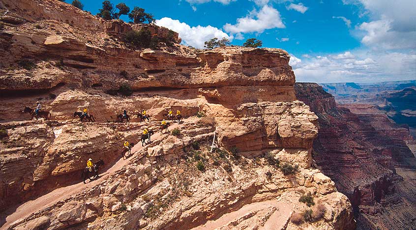 mule_train_kaibab