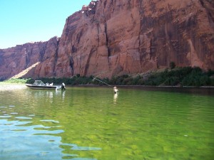 Colorado River Fishing