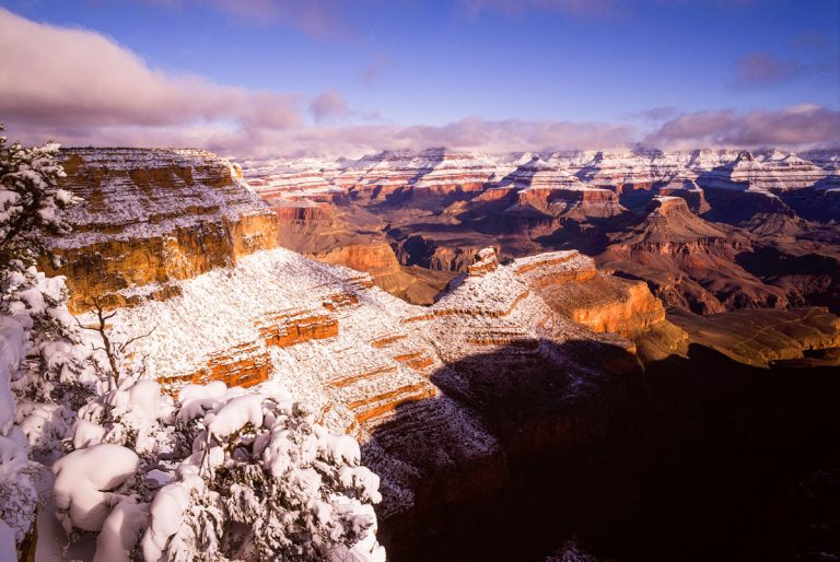 Spring Snow